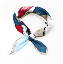 職業(yè)小絲巾