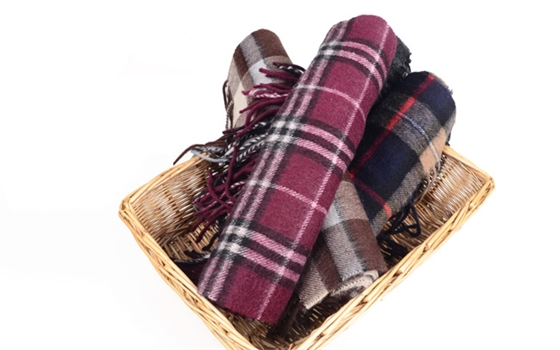 尼龍羊毛毯,經(jīng)銷批發(fā) 羊毛毯圖